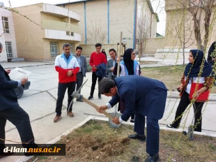 کاشت نهال به مناسبت 15 اسفند، روز درخت‌کاری با هدف نهادینه‌سازی «فرهنگ درخت‌کاری» 6