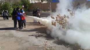 برگزاری دوره آموزشی آمادگی در مخاطرات  4