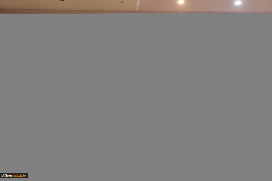 برگزاری رویداد استارتاپی  «هم‌سویی نوآوری و مهارت در گام‌های کارآفرینانه» به مناسبت هفته جهانی کارـفرینی در آموزشکده دختران ایلام 8