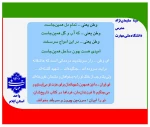 پویش میدان‌داران دانشگاه در دفاع رمضان
 3