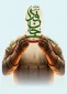 پویش 
