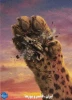 جهاد_هنرمندانه 3