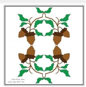 اجرای پروژه کارآموزی دانشجویان هنرمند فتوگرافیک( طراحی بلوط با استفاده ازنقوش هندسی) با نظارت استاد جایدری ، با عنوان بلوط، کهن ترین راوی طبیعت زاگرس 12